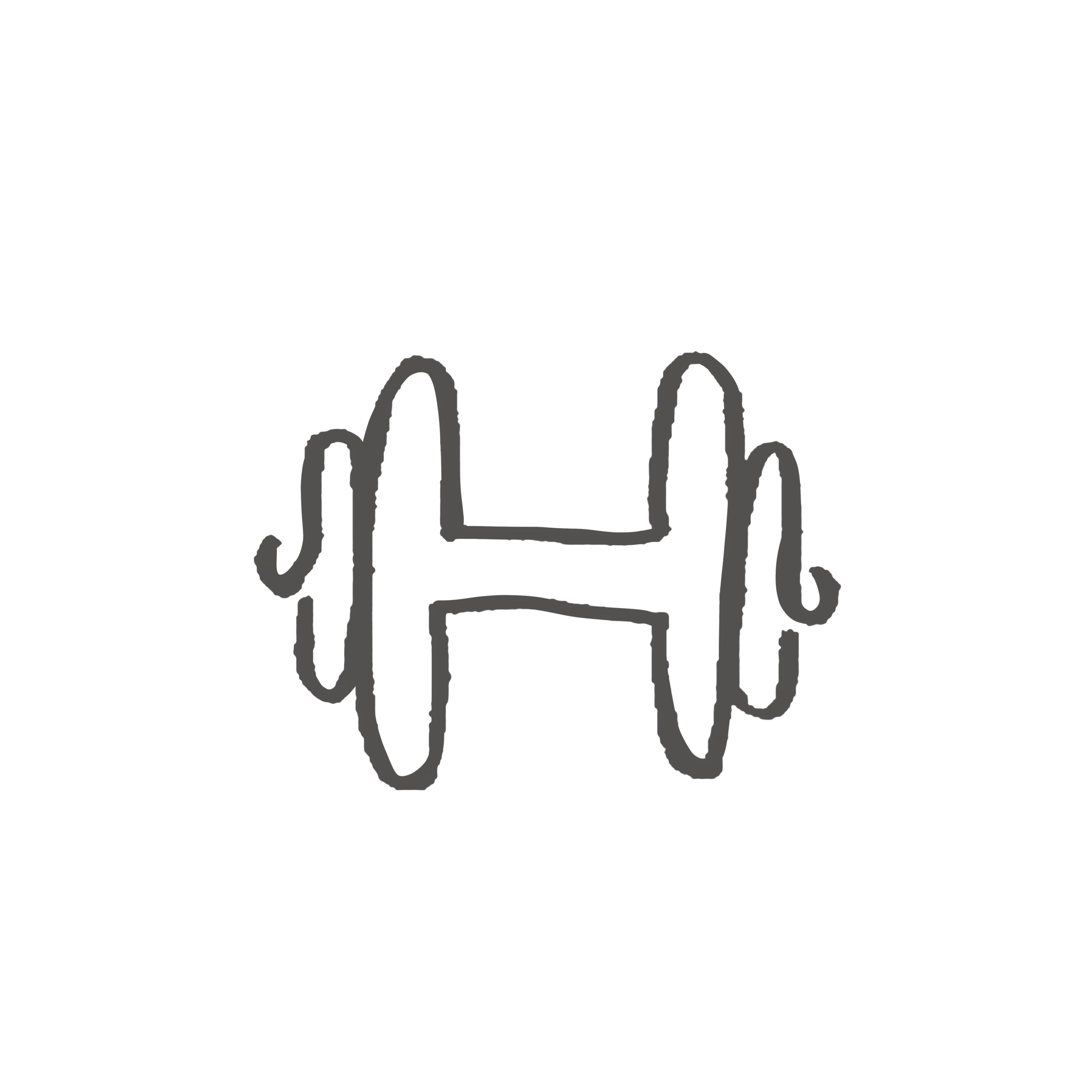 Icon sport